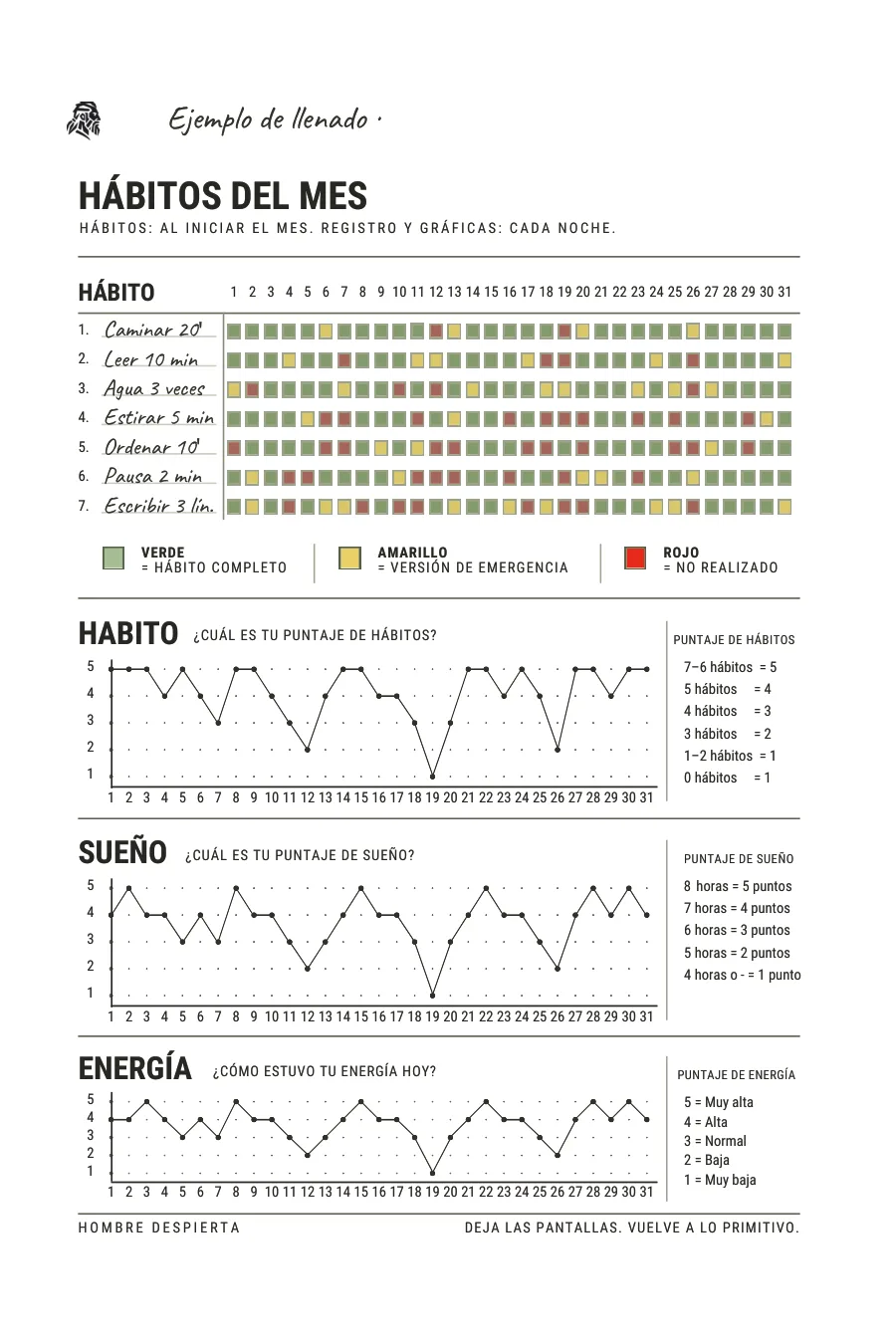 Registro de hábitos del mes con casillas de colores y gráficas de hábitos, sueño y energía